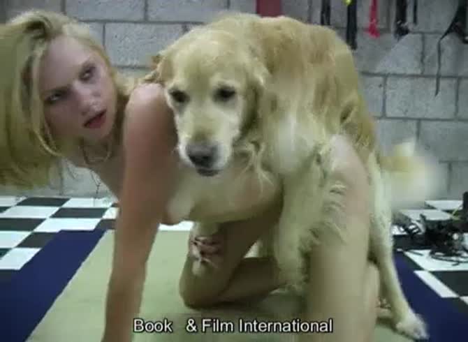 Video :Brunette and blonde sharing a big dog dick